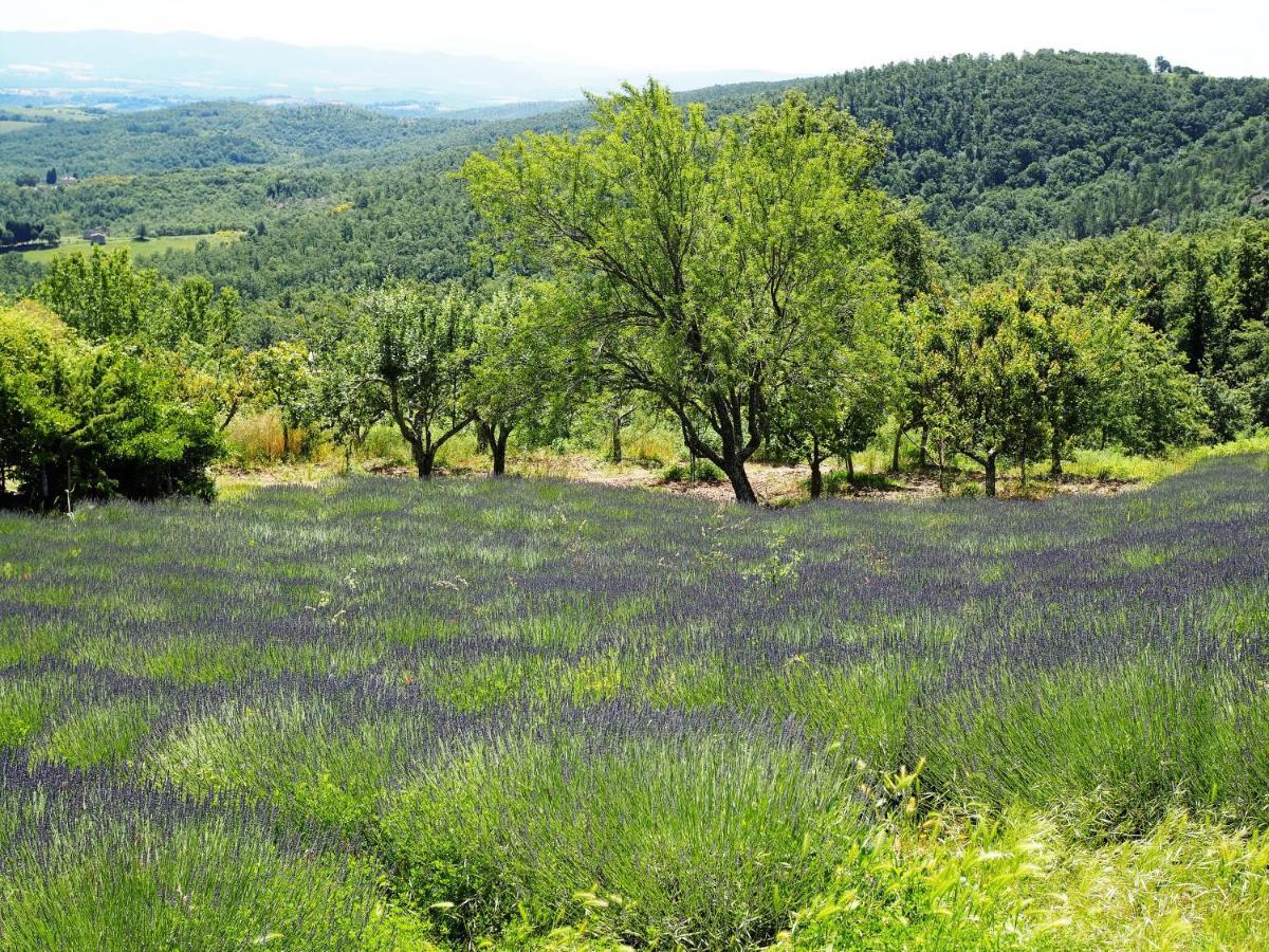 Maison d'hôtes Sassi Bianchi à Sensano Extérieur photo