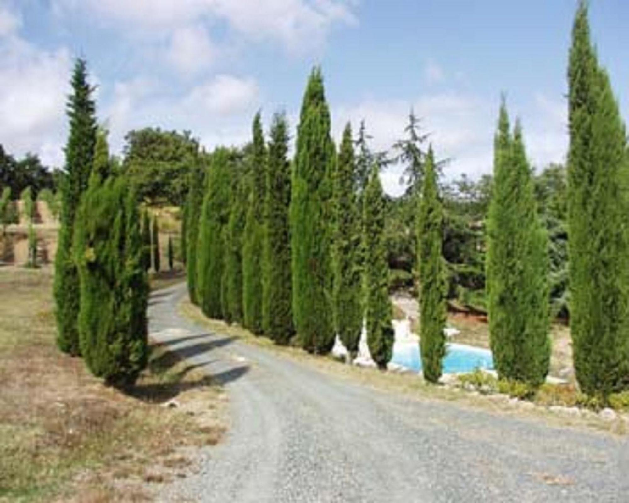 Maison d'hôtes Sassi Bianchi à Sensano Extérieur photo